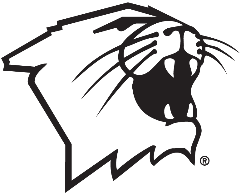 Northwestern Wildcats 1981-Pres Partial Logo v2 diy iron on heat transfer